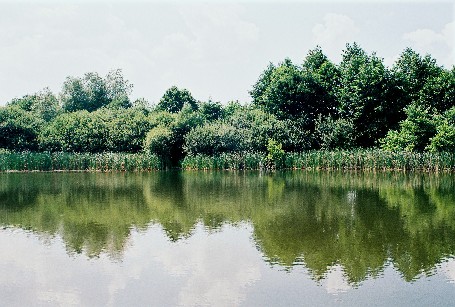 06.jpg